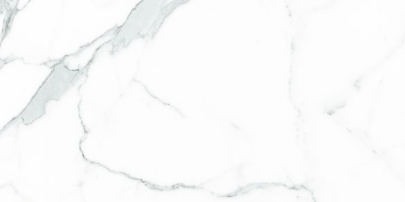 PALATINA BLANCO MATE RECT 60x120  Напольная / Керамогранит Матовая