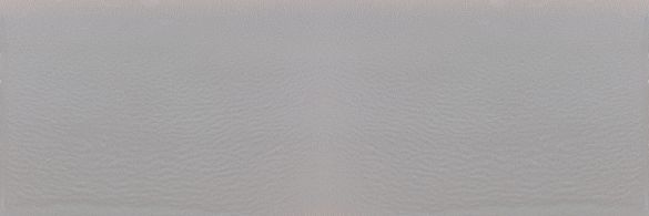 DAYAK GREY 30x90  Настенная плитка Матовая