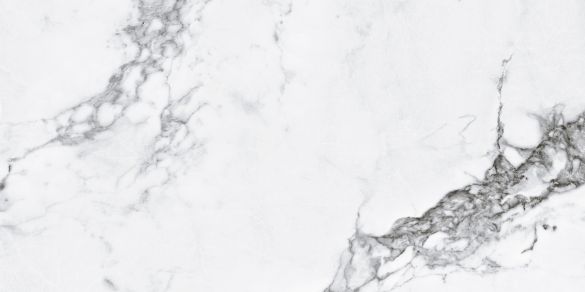 CAPRAIA WHITE SATINADO RECT 60X120  Напольная/Настенная / Керамогранит Матовая