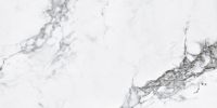 CAPRAIA WHITE SATINADO RECT 60X120  Напольная/Настенная / Керамогранит Матовая